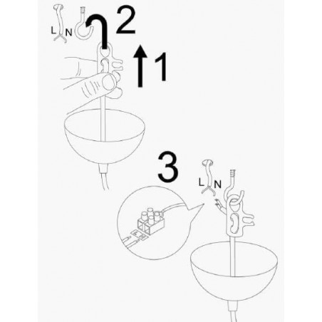 1909_312275 1909_312275