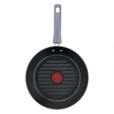 Tefal G7314055 DAILY COOK Ψησταριά-γκριλ, 26 cm, Θερμοδοχείο & Σήμα, Επαγωγή, Sterling Silver
