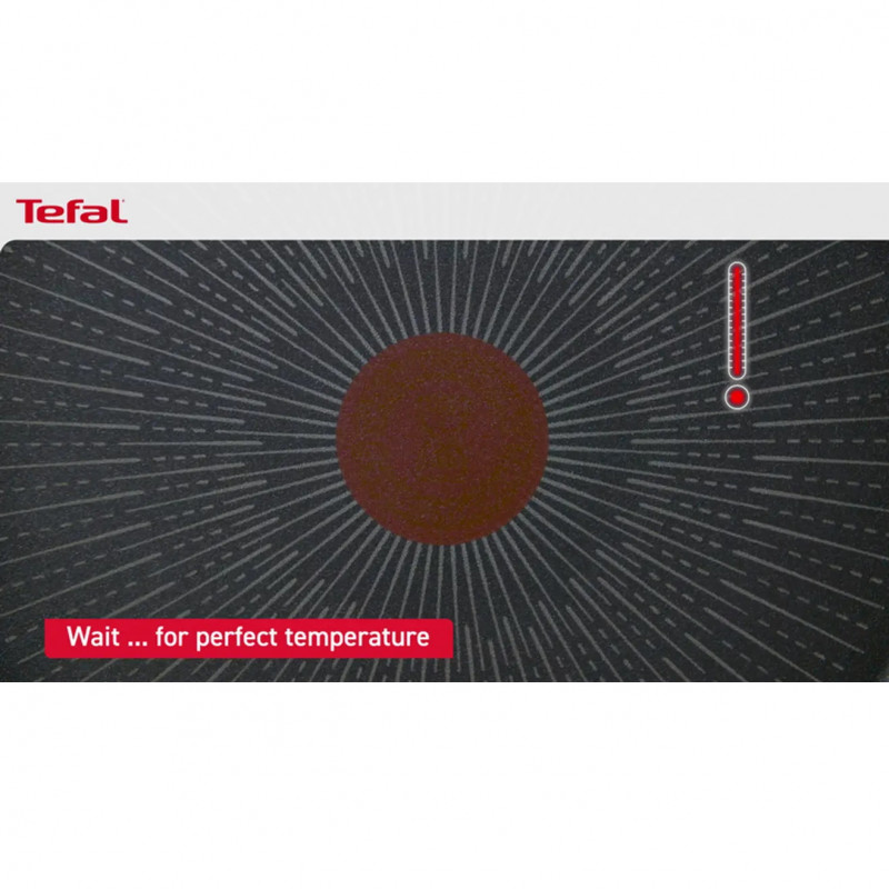 Tefal G7314055 DAILY COOK Ψησταριά-γκριλ, 26 cm, Θερμοδοχείο & Σήμα, Επαγωγή, Sterling Silver