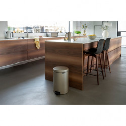 Κάδος με πεντάλ Brabantia NewIcon 1003205, 20 l, Ομαλό κλείσιμο, Αντιολισθητική βάση, Μεταλλικό χρυσό