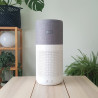 Καθαριστής αέρα Philips AC3033/10, Wi-Fi, 55W, Για έως 135 m2, HEPA, Έξυπνοι αισθητήρες, Λευκό/γκρι