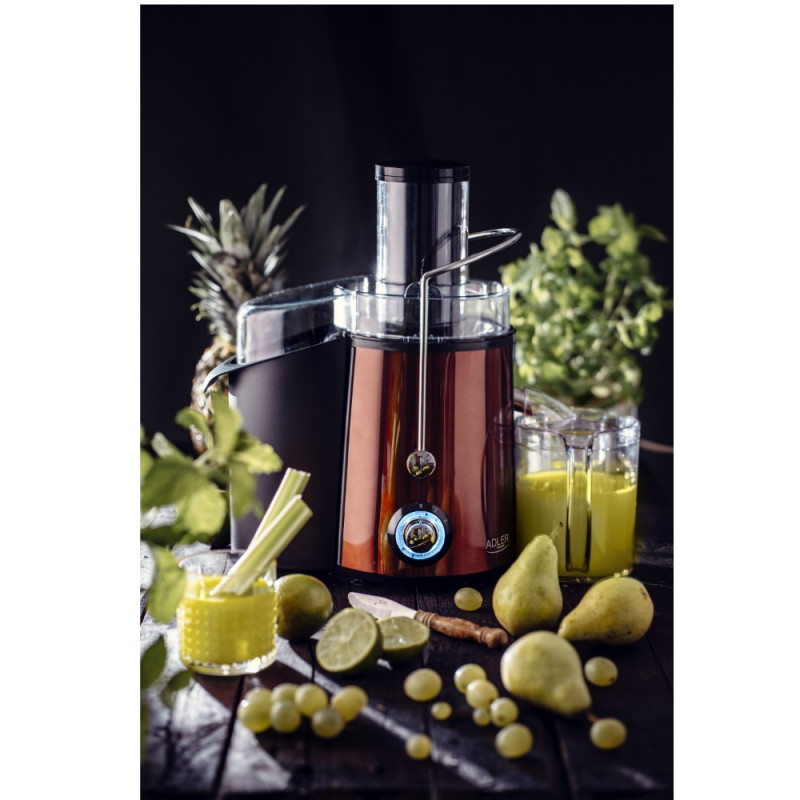 Αποχυμωτής Adler AD 4129, 1000/2000W, 2 ταχύτητες, 1l, σύστημα προστασίας από στάγδην, Μαύρο/μπρονζέ