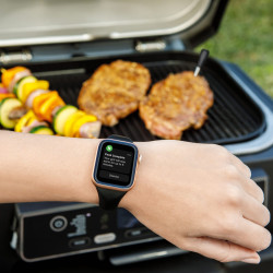 Θερμόμετρο κουζίνας Ninja ProChef WP100EU, Bluetooth, εφαρμογή για κινητά, αισθητήρας θερμοκρασίας εσωτερικού χώρου και περιβάλλοντος, έως 370C, μαύρο/ασημί