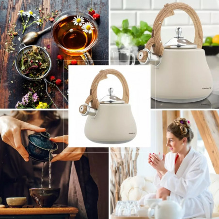 Klausberg KB 7919 βραστήρας με στροβιλισμό, 2,8 l, Θερμομονωμένη λαβή, Επαγωγή, Μπεζ