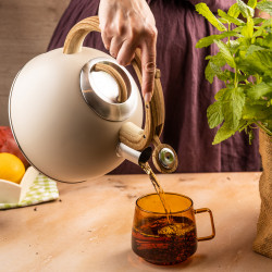 Σφυρίζοντας βραστήρας Klausberg KB 7913, 2.5 L, Λαβή με εφέ ξύλου, Επαγωγή, Μπεζ