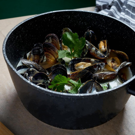 Κατσαρόλα με καπάκι Royalty Line RL-FSN20, 20 cm, 2,1 l, Φινίρισμα από γρανίτη, Επαγωγή, Μαύρο