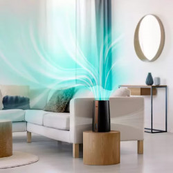 Υγραντήρας Philips HU3918/10, Έως 45 m2, 300 ml/h, 3 l, 3 στάδια, Nanocloud, οθόνη LED, νυχτερινή λειτουργία, Μαύρο