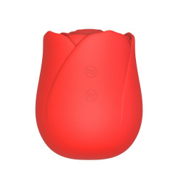 Διεγέρτης κλειτορίδας...