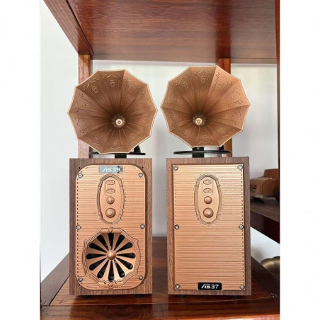 Bluetooth ραδιοφωνικό ηχείο Ashu AS39, 1x8W, 1200mAh, Καφέ