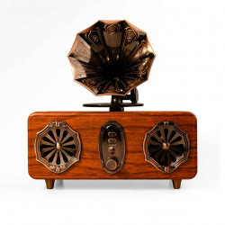 Bluetooth ραδιοφωνικό ηχείο...