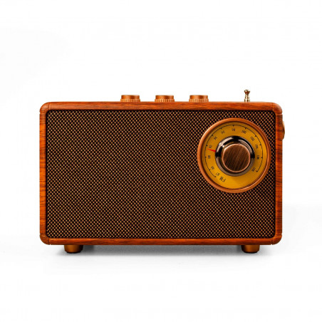 Bluetooth ραδιοφωνική колонка Ashu AS23, 5W, 1500mAh, Καφέ