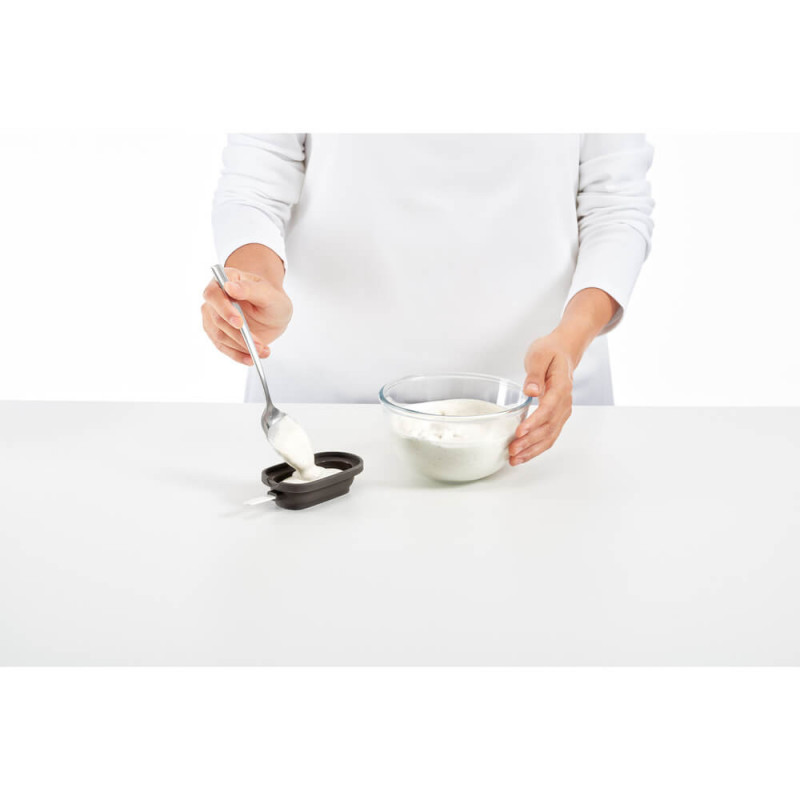 Σετ 4 φορμών για παγωτό σε ξυλάκι Lekue 1009044, 350 ml, -20°C / +100°C, Καπάκια, Γκρι