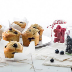 Φόρμα ψησίματος Lekue 1010170, 30x17,5x3,5 cm, 720 ml, Από -60 έως +220C, Πλατινένιο σιλικόνη, Κόκκινο