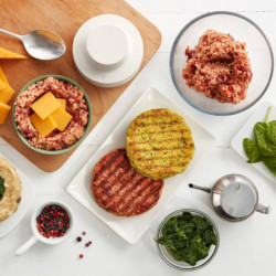 Συσκευή για την παρασκευή λαχανικών μπιφτεκιών Lekue 1010193, -20/+80°C, ABS, Πράσινο