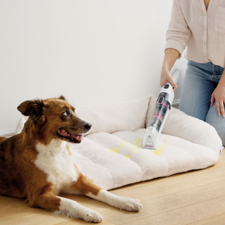 Ασύρματη σκούπα για λεκέδες Shark StainForce HX100EUT, 100W, 15 λεπτά, Χαλιά, Ταπετσαρίες, Στρώματα, Αυτοκαθαριζόμενη, Λευκή