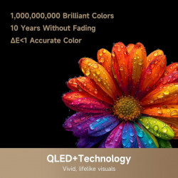 Τηλεόραση Dreame Vivid 50Q100, 50", 126 εκ., 3840x2160, 4K Ultra HD, QLED, 120 Hz, Dreamind™ AI, SMART, Μαύρο