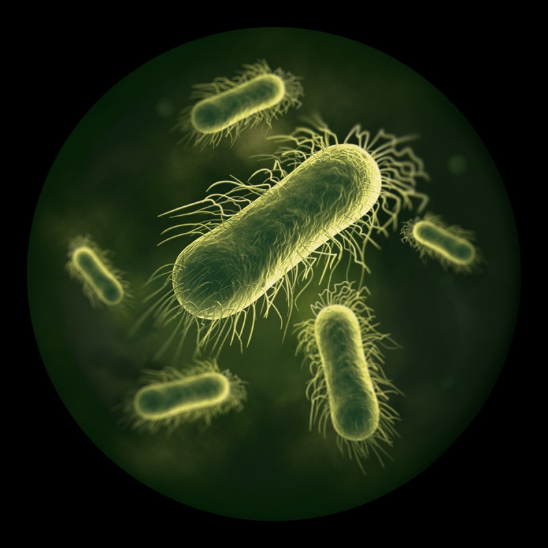 Σκούπα για υγρό καθαρισμό Dyson Clean+Wash Hygiene 432030-01, 530/760 ml, 45 λεπτά, 350 m², 4 λειτουργίες, Αυτοκινούμενη, Στέγνωμα κυλίνδρου, Μπλε του Προύσου/Χαλκό