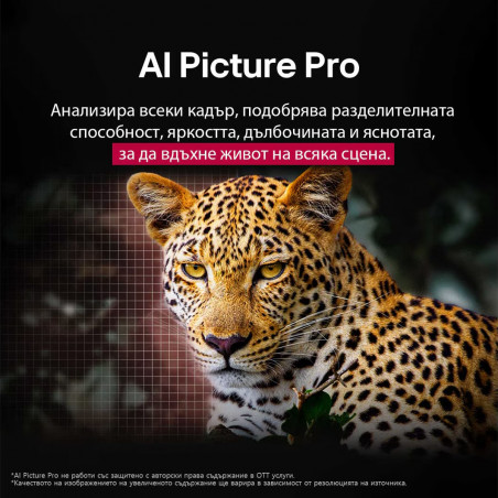 Τηλεόραση LG OLED55C51LA, 4K Ultra HD 3840 x 2160, 55", Κατηγορία G, OLED, Smart TV, Dolby Vision, AI Upscaling, webOS, Μαύρο