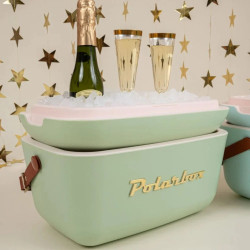 Ψυκτική τσάντα Polarbox Gold, 20 λίτρα, πολυστυρόλ AIRPOP, 5-15 °C έως 24 ώρες, Πράσινο/Χρυσό