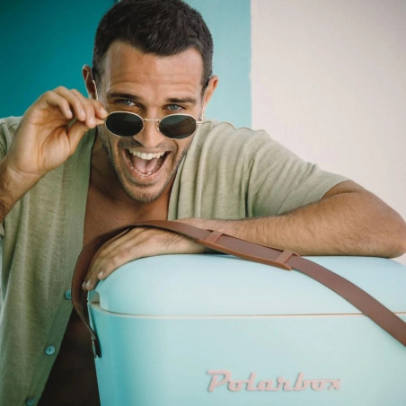 Ψυκτική τσάντα Polarbox Pop, 12 λίτρα, πολυστυρόλ AIRPOP, 5-15 °C έως 24 ώρες, Πράσινο/Μωβ