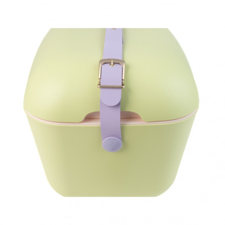 Ψυκτική τσάντα Polarbox Pop, 12 λίτρα, πολυστυρόλ AIRPOP, 5-15 °C έως 24 ώρες, Πράσινο/Μωβ