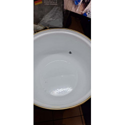Μεταχειρισμένος: Κουζίνα Goldmann GM 8017-22G, 5l, 22x14 cm, Εμαγιέ, Επαγωγή, Γυάλινο καπάκι, Σμαραγδένιο πράσινο