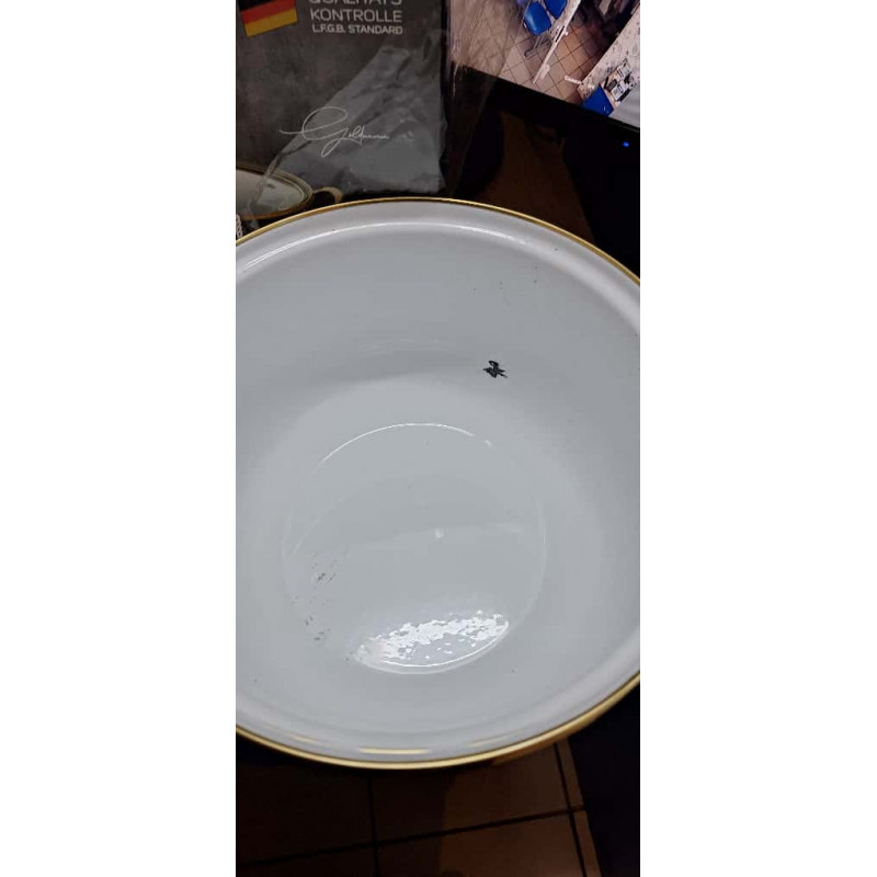 Μεταχειρισμένος: Κουζίνα Goldmann GM 8017-22G, 5l, 22x14 cm, Εμαγιέ, Επαγωγή, Γυάλινο καπάκι, Σμαραγδένιο πράσινο