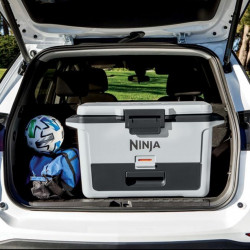 Ψυκτική θήκη Ninja FrostVault FB151EUWH, 47 λίτρα, Παθητική ψύξη, χωρητικότητα 80 κουτιών, Διατηρεί τον πάγο έως και 6 ημέρες, Ξηρό διαμέρισμα, Λευκό