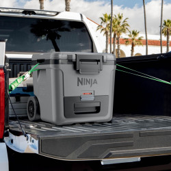 Ψυκτική θήκη Ninja FrostVault FB230EUGY, 28 λίτρα, Παθητική ψύξη, χωρητικότητα 48 κουτιών, Διατηρεί τον πάγο έως και 5 ημέρες, Ξηρό διαμέρισμα, Ρόδες, Γκρι