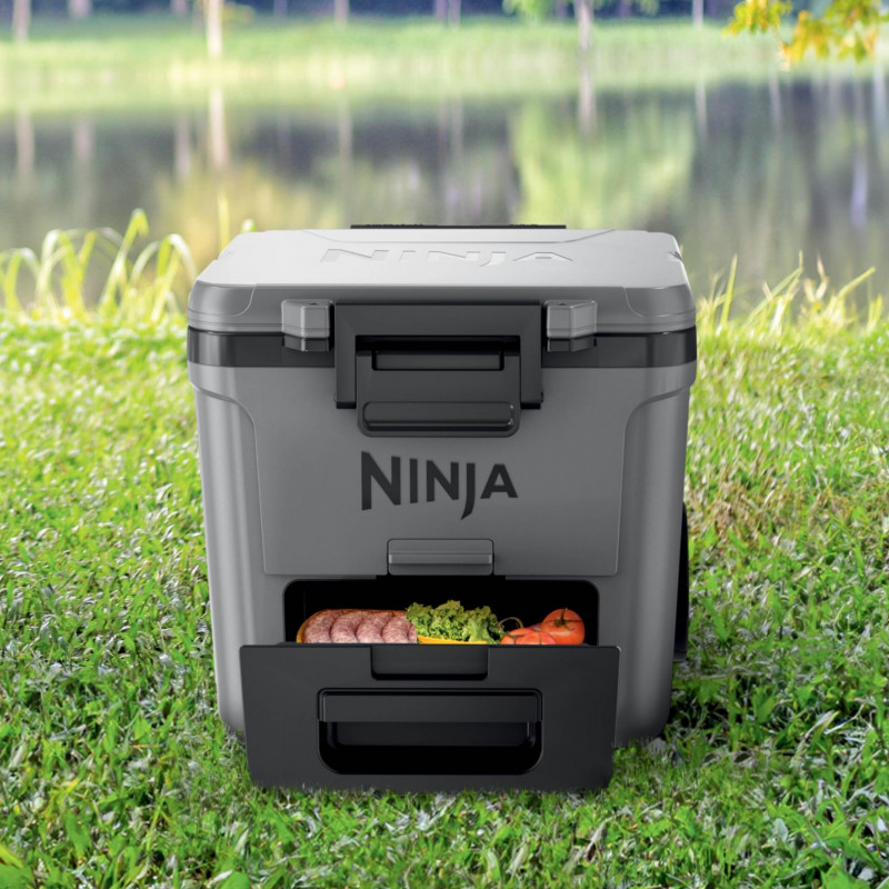 Ψυκτική θήκη Ninja FrostVault FB230EUGY, 28 λίτρα, Παθητική ψύξη, χωρητικότητα 48 κουτιών, Διατηρεί τον πάγο έως και 5 ημέρες, Ξηρό διαμέρισμα, Ρόδες, Γκρι