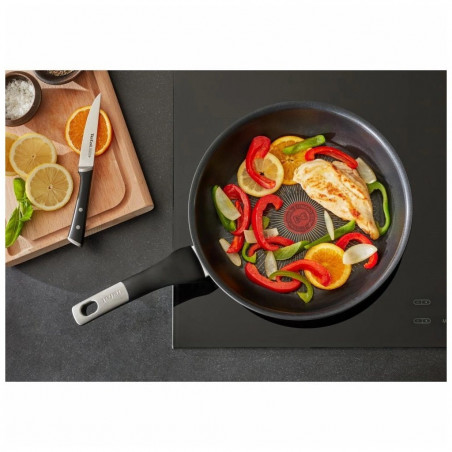 Μεταχειρισμένο: Τηγάνι Tefal G2550572, 26 εκ., Thermo-Spot, Αντικολλητική επίστρωση τιτανίου X6, Για επαγωγικές εστίες, Μαύρο