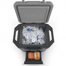 Ψυκτική θήκη Ninja FrostVault FB131EUGY, 28 λίτρα, Παθητική ψύξη, χωρητικότητα 48 κουτιών, Διατηρεί τον πάγο έως και 5 ημέρες, Ξηρό διαμέρισμα, Γκρι