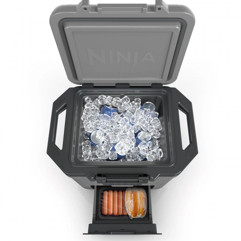Ψυκτική θήκη Ninja FrostVault FB131EUGY, 28 λίτρα, Παθητική ψύξη, χωρητικότητα 48 κουτιών, Διατηρεί τον πάγο έως και 5 ημέρες, Ξηρό διαμέρισμα, Γκρι