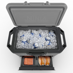 Ψυκτική θήκη Ninja FrostVault FB151EUGY, 47 λίτρα, Παθητική ψύξη, χωρητικότητα 80 κουτιών, Διατηρεί τον πάγο έως και 6 ημέρες, Ξηρό διαμέρισμα, Γκρι