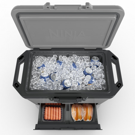 Ψυκτική θήκη Ninja FrostVault FB151EUGY, 47 λίτρα, Παθητική ψύξη, χωρητικότητα 80 κουτιών, Διατηρεί τον πάγο έως και 6 ημέρες, Ξηρό διαμέρισμα, Γκρι
