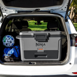 Ψυκτική θήκη Ninja FrostVault FB151EUGY, 47 λίτρα, Παθητική ψύξη, χωρητικότητα 80 κουτιών, Διατηρεί τον πάγο έως και 6 ημέρες, Ξηρό διαμέρισμα, Γκρι
