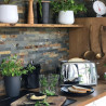 Τοστιέρα SMEG 50's Style TSF03SSEU, 2000 W, 4 φέτες, 6 επίπεδα, Δίσκος για ψίχουλα, Ενσωματωμένο καλώδιο, Ανοξείδωτο ατσάλι, Ασημί
