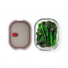 Δοχείο φαγητού Black+Blum Stack+Nest FBGR-BX-L107, 1,2 λίτρα, ορθογώνιο, κατάλληλο για φούρνο, χωρίς BPA, βοριοπυριτικό γυαλί, γκρι/κόκκινο