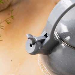 Βραστήρας με σφυρίχτρα Kinghoff KH 2079, 2 λίτρα, Εμαγιέ εσωτερικό, Για επαγωγικές εστίες, Γκρι