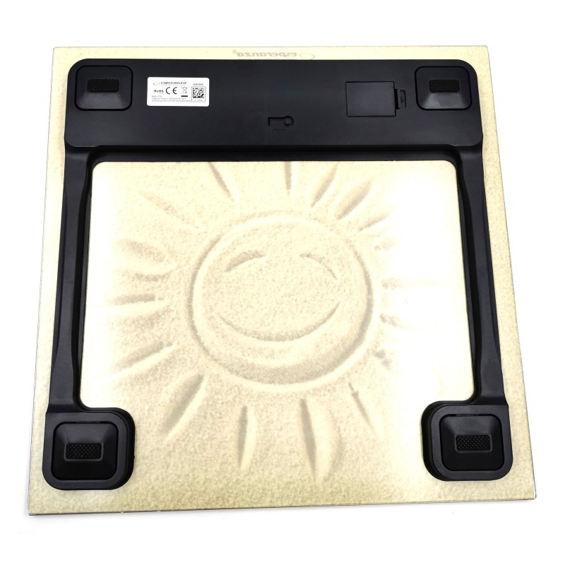 3816_312576 3816_312576