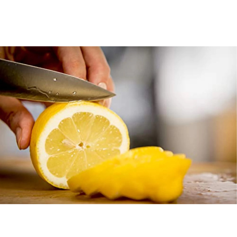 4444_231517 4444_231517